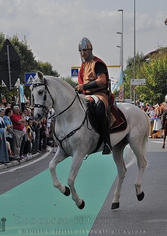 TARCISIO PICCINELLI-CAVALLO VOLANTE.